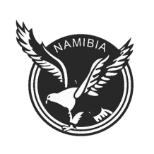 Ciuccio Namibia, design sportivo per neonati. Comfort e stile per i piccoli tifosi! Scopri di più su ciuccio-bambini.com.