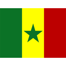 Bandiera Ufficiale del Senegal, perfetta per personalizzare articoli per neonati. Scopri di più su ciuccio-bambini.com.