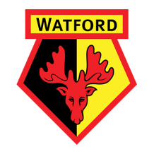 Ciuccio Watford Football Club, perfetto per i piccoli tifosi. Scopri i nostri articoli su ciuccio-bambini.com!